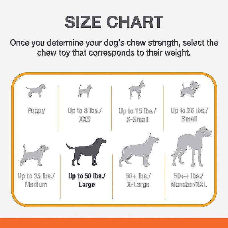 Nylabone - Hueso Masticable para Perro Sabor Original