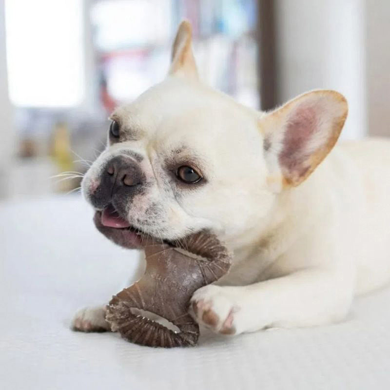 BENEBONE - Juguetes Masticable Sabor Tocino para Cachorro