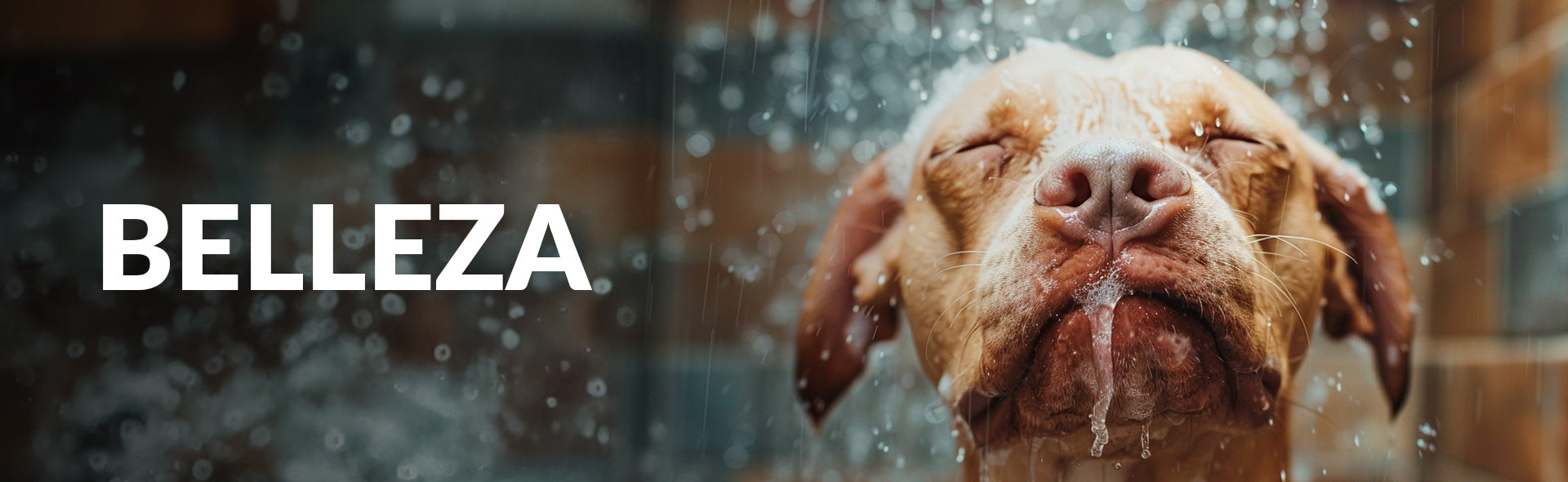 BELLEZA.jpg__PID:a89834ce-9d74-46a6-9ee7-f0534c786ba8