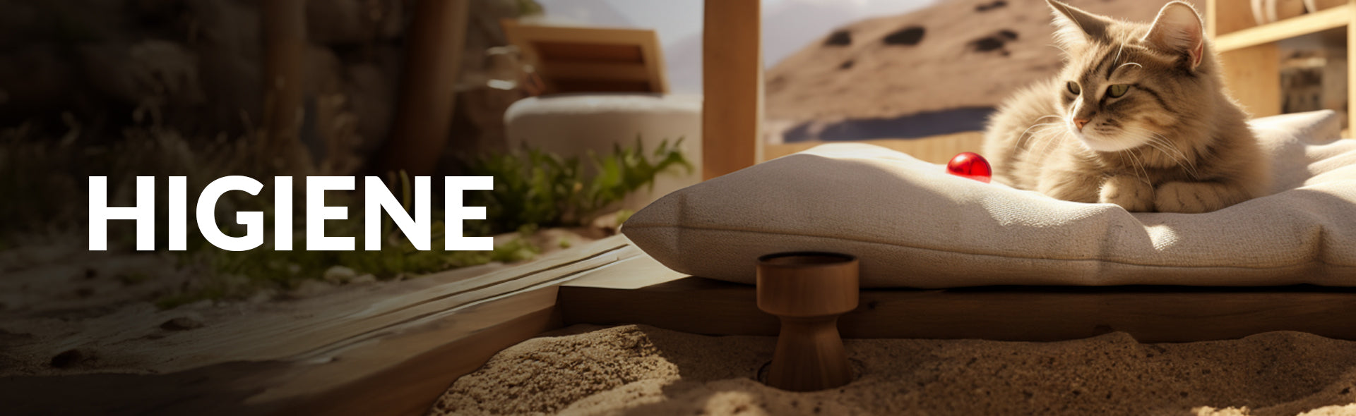 HIGIENE GATO.jpg__PID:34ce9d74-46a6-4ee7-b053-4c786ba80466