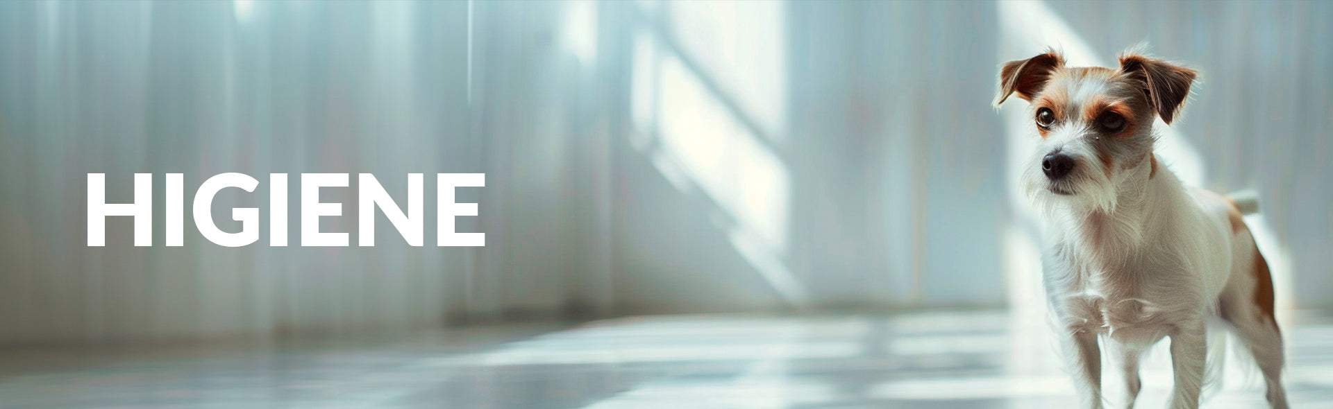 HIGIENE PERRO.jpg__PID:ce9d7446-a61e-47f0-934c-786ba80466b5