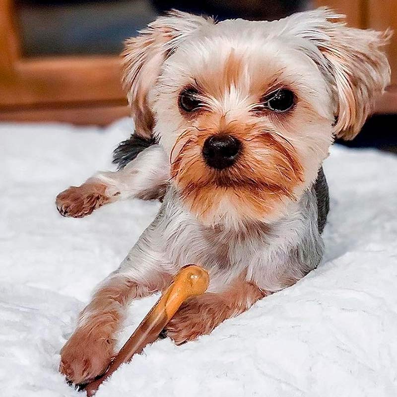 Nylabone - Huesos Masticables Sabor Hamburguesa y Pay