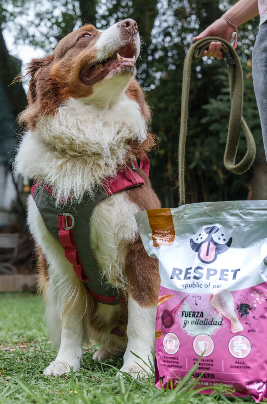Respet